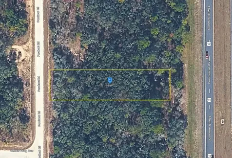 18364 Parakeet Road Brooksville FL 34614