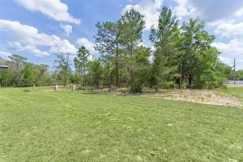 44 Malauka Drive Ocklawaha FL 32179