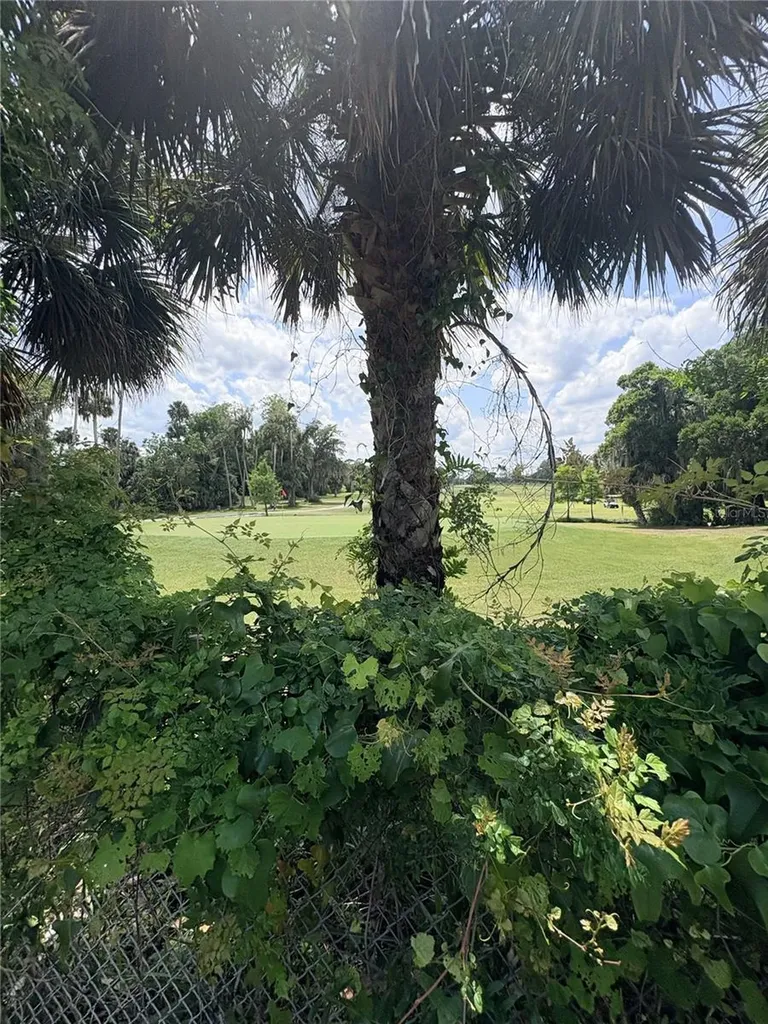 1054 Claudia Street New Smyrna Beach FL 32168