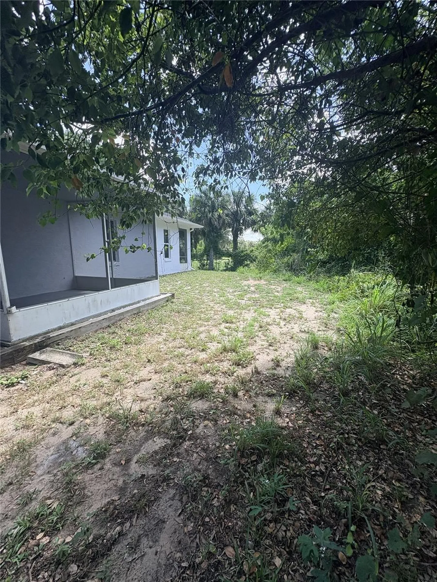 1054 Claudia Street New Smyrna Beach FL 32168