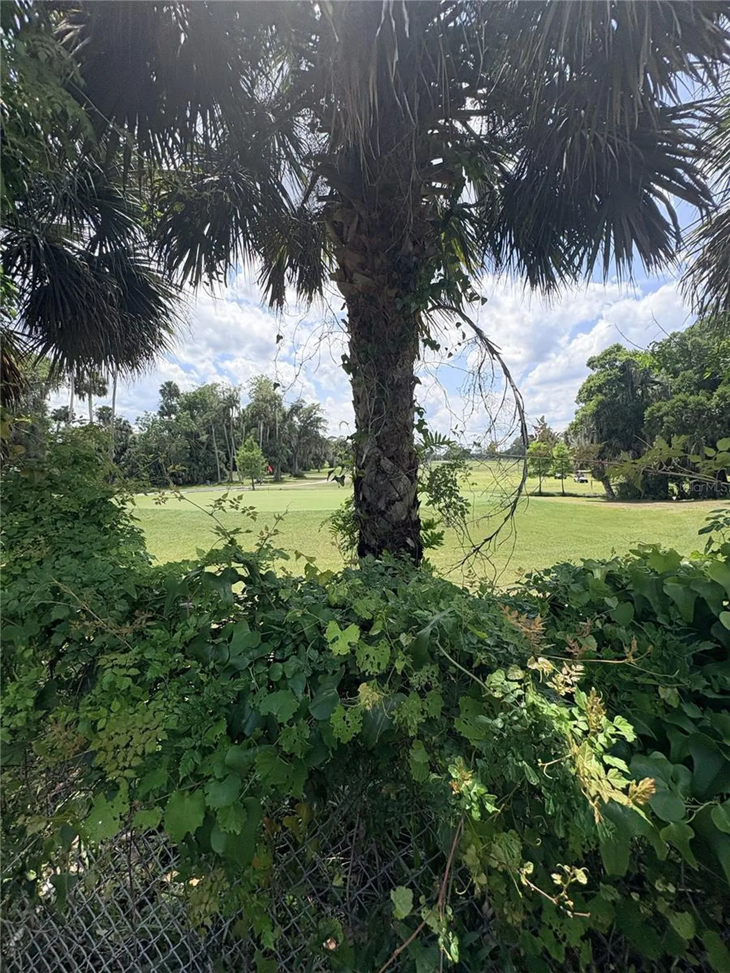 1054 Claudia Street New Smyrna Beach FL 32168