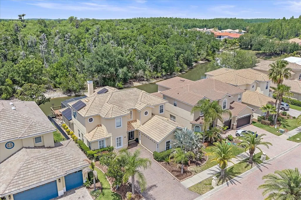 18046 Cozumel Isle Drive Tampa FL 33647