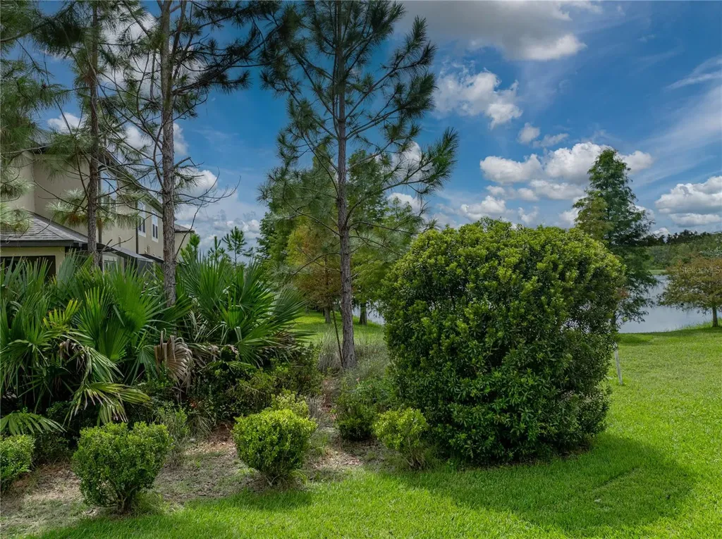 29934 Southwell Lane Wesley Chapel FL 33543