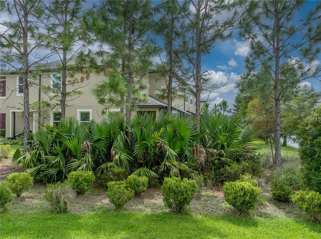 29934 Southwell Lane Wesley Chapel FL 33543