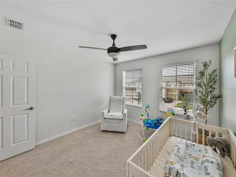 29934 Southwell Lane Wesley Chapel FL 33543