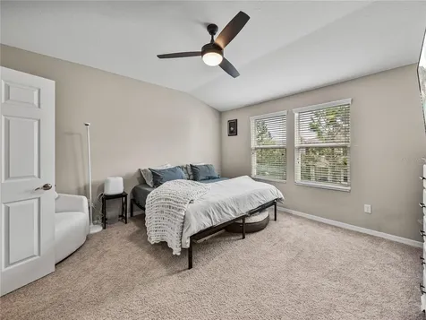 29934 Southwell Lane Wesley Chapel FL 33543
