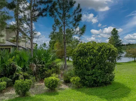 29934 Southwell Lane Wesley Chapel FL 33543