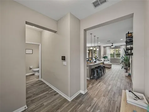 29934 Southwell Lane Wesley Chapel FL 33543