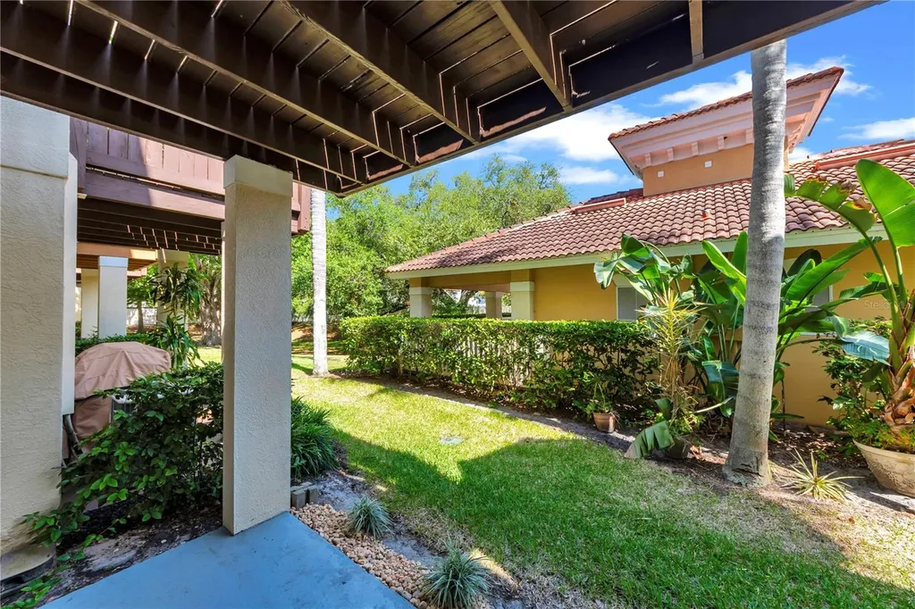 3115 Bayshore Oaks Drive Tampa FL 33611