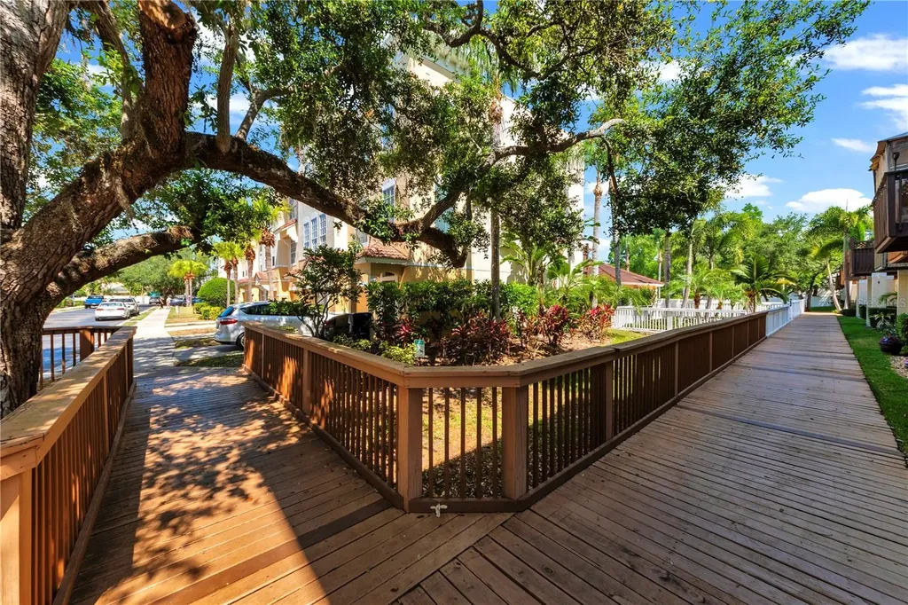 3115 Bayshore Oaks Drive Tampa FL 33611