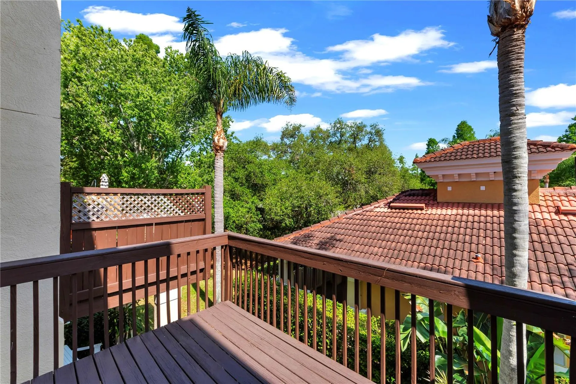 3115 Bayshore Oaks Drive Tampa FL 33611