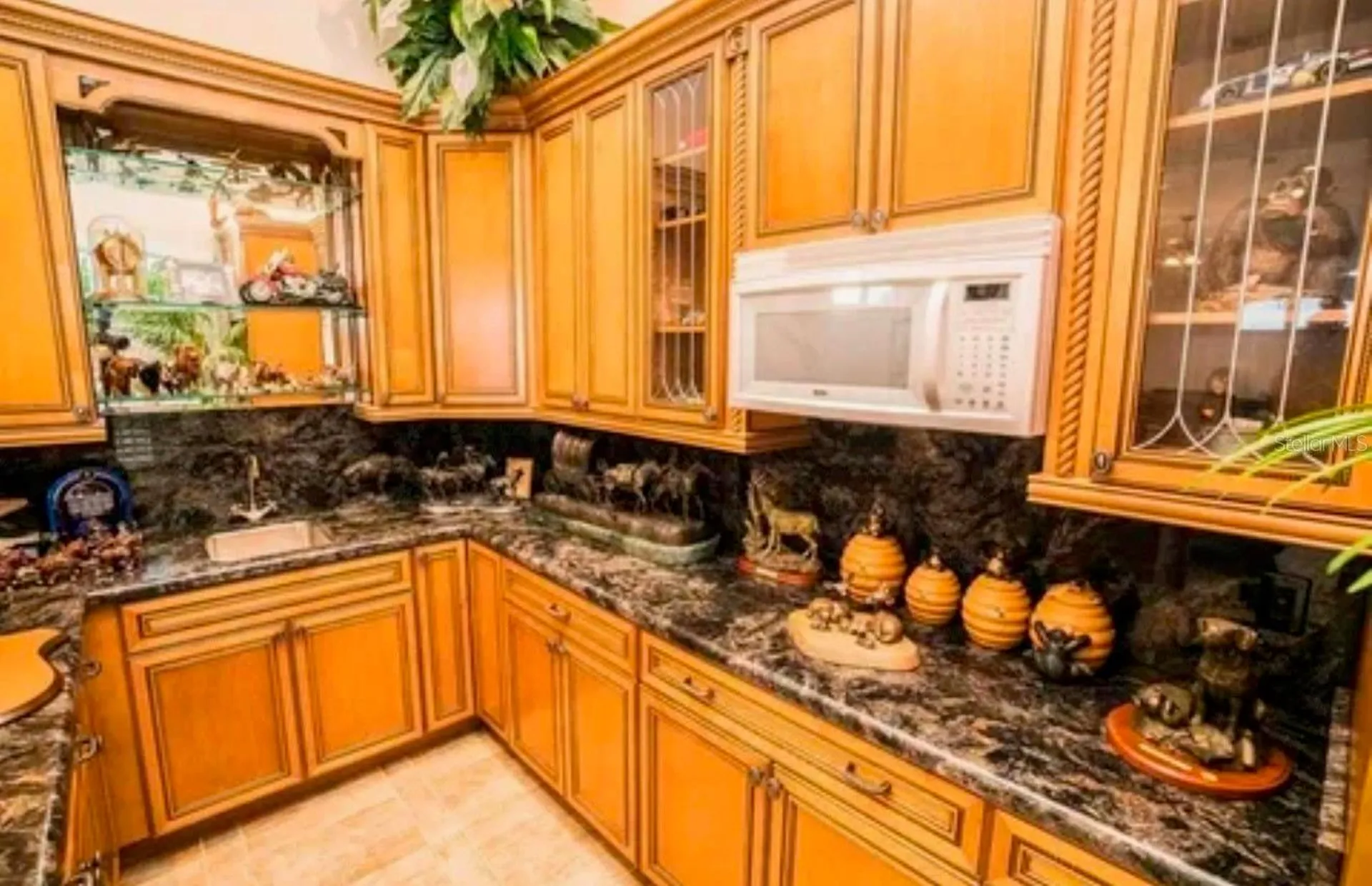 11715 Taylor Road Thonotosassa FL 33592