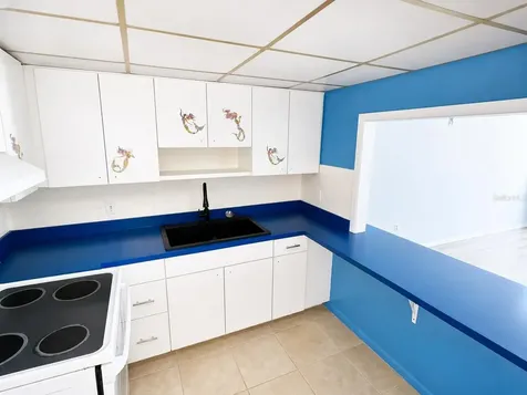 4550 Cove Circle St Petersburg FL 33708