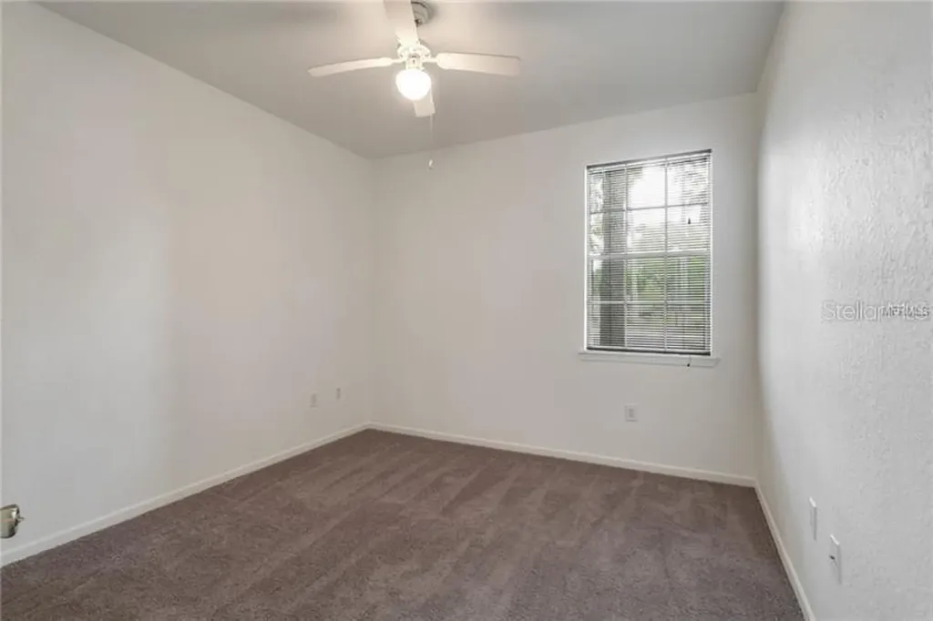 17114 Carrington Park Drive Tampa FL 33647