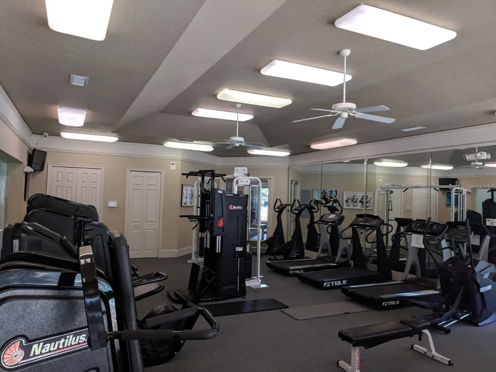 17114 Carrington Park Drive Tampa FL 33647