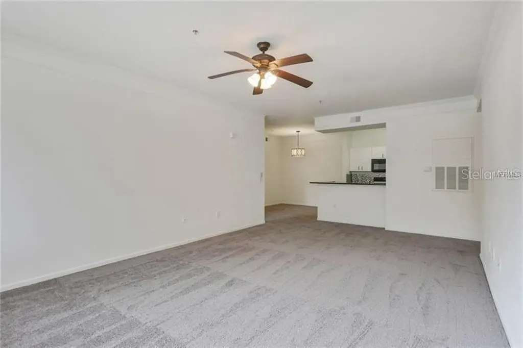 17114 Carrington Park Drive Tampa FL 33647