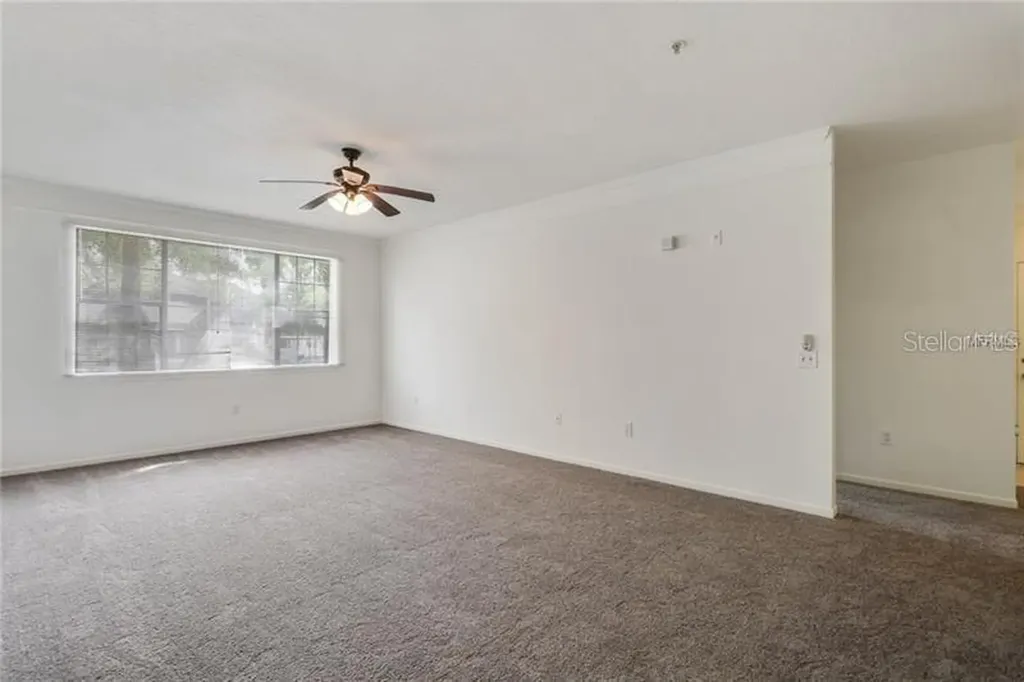 17114 Carrington Park Drive Tampa FL 33647