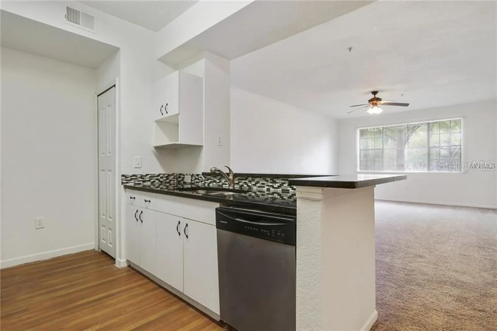 17114 Carrington Park Drive Tampa FL 33647