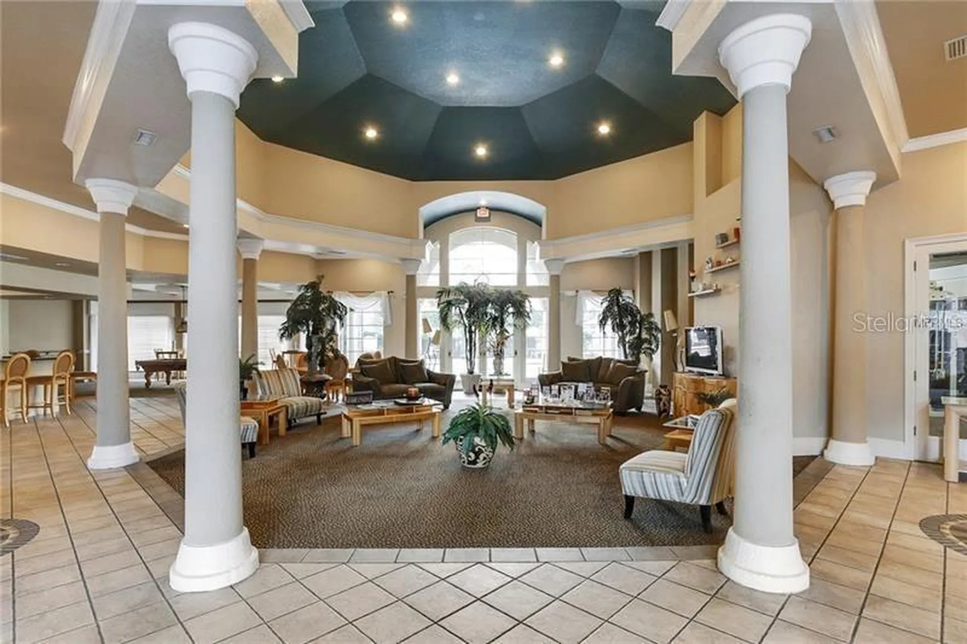 17114 Carrington Park Drive Tampa FL 33647