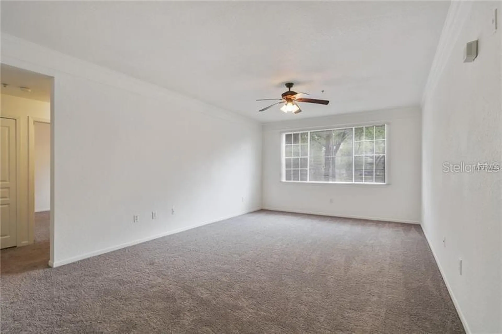 17114 Carrington Park Drive Tampa FL 33647