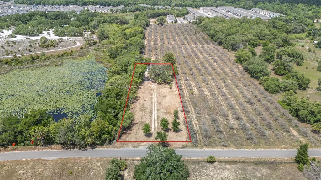 1920 E Palm Street Davenport FL 33837