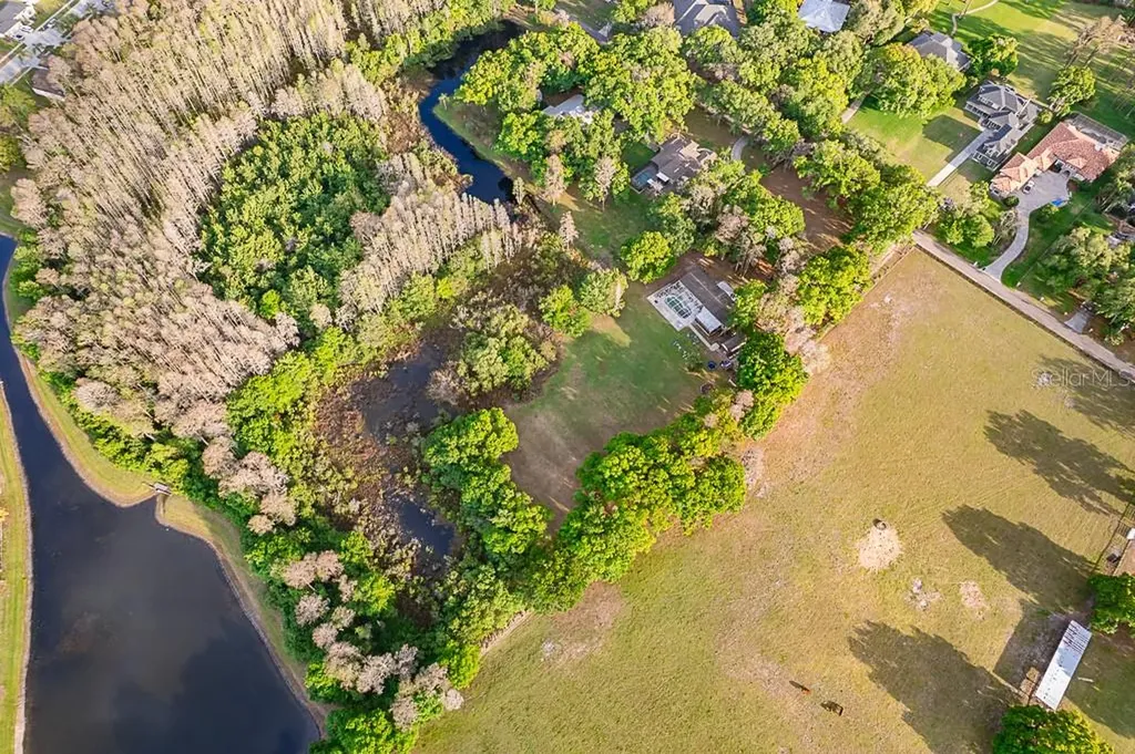 13815 Plainview Road Odessa FL 33556