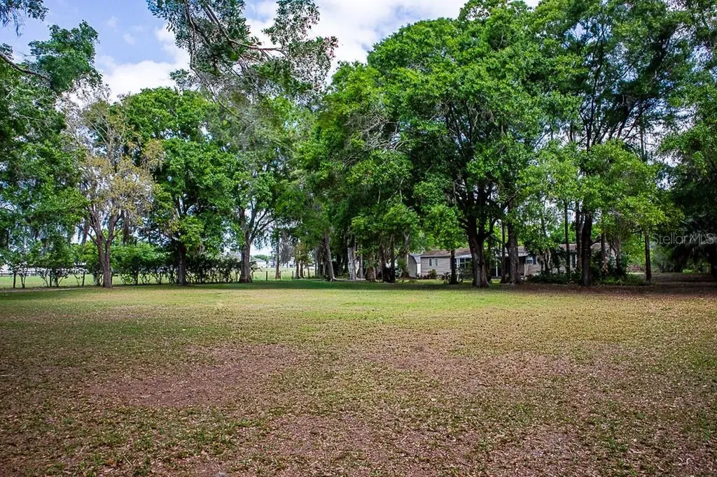 13815 Plainview Road Odessa FL 33556
