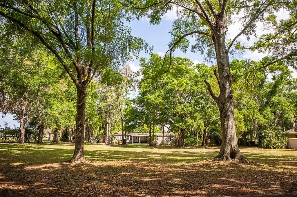 13815 Plainview Road Odessa FL 33556