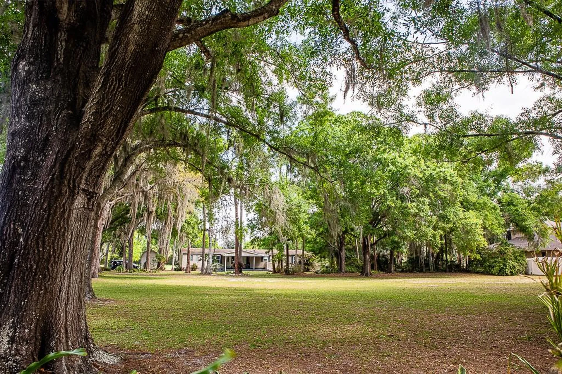 13815 Plainview Road Odessa FL 33556