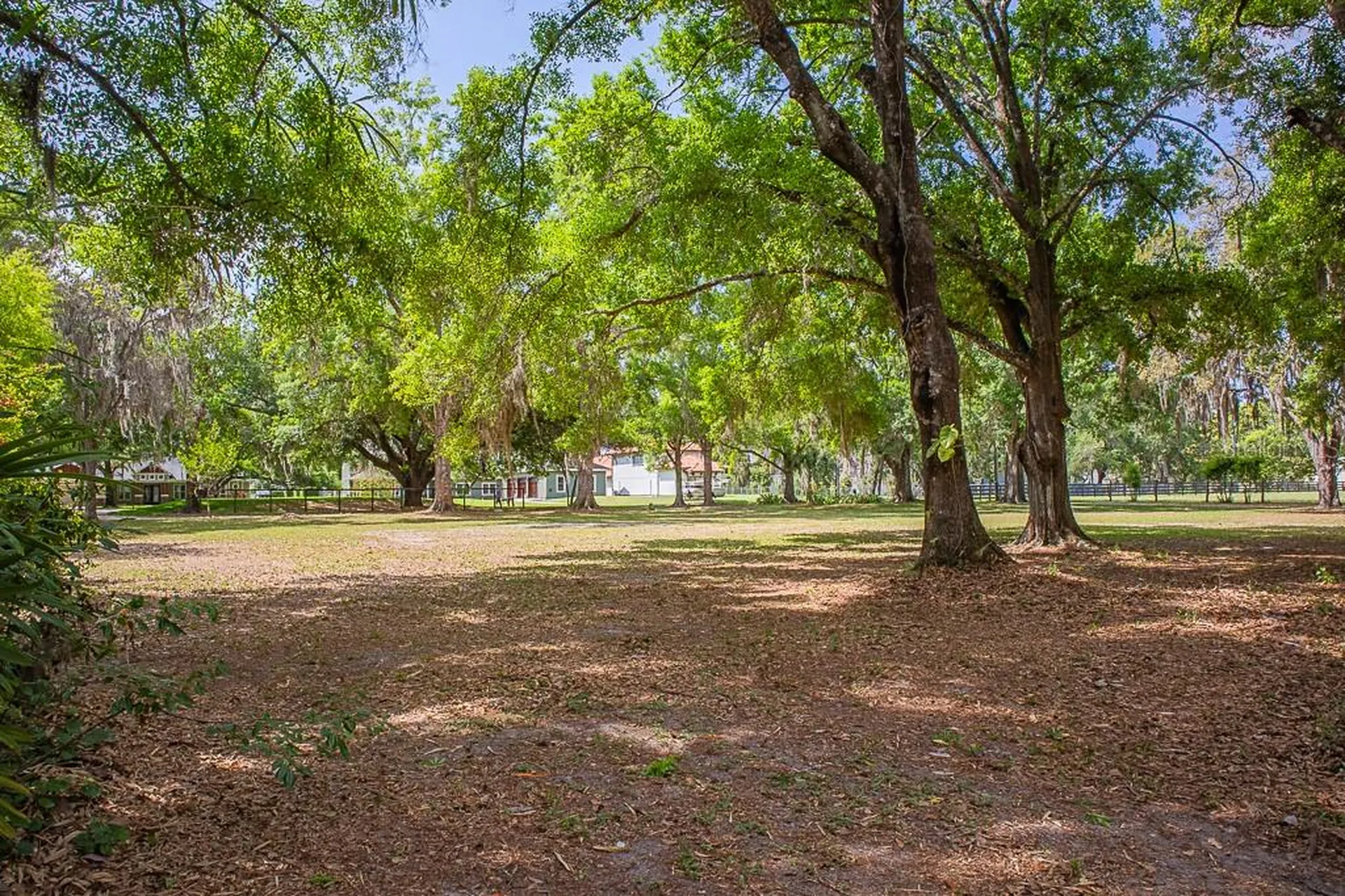 13815 Plainview Road Odessa FL 33556