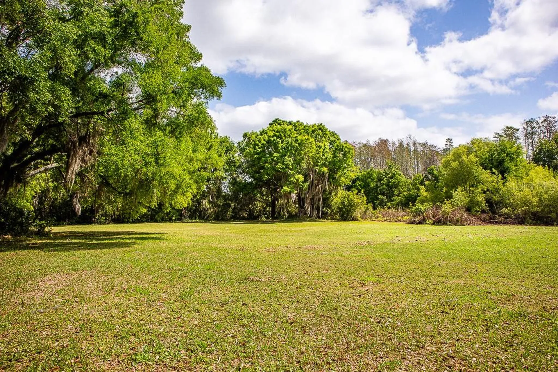 13815 Plainview Road Odessa FL 33556
