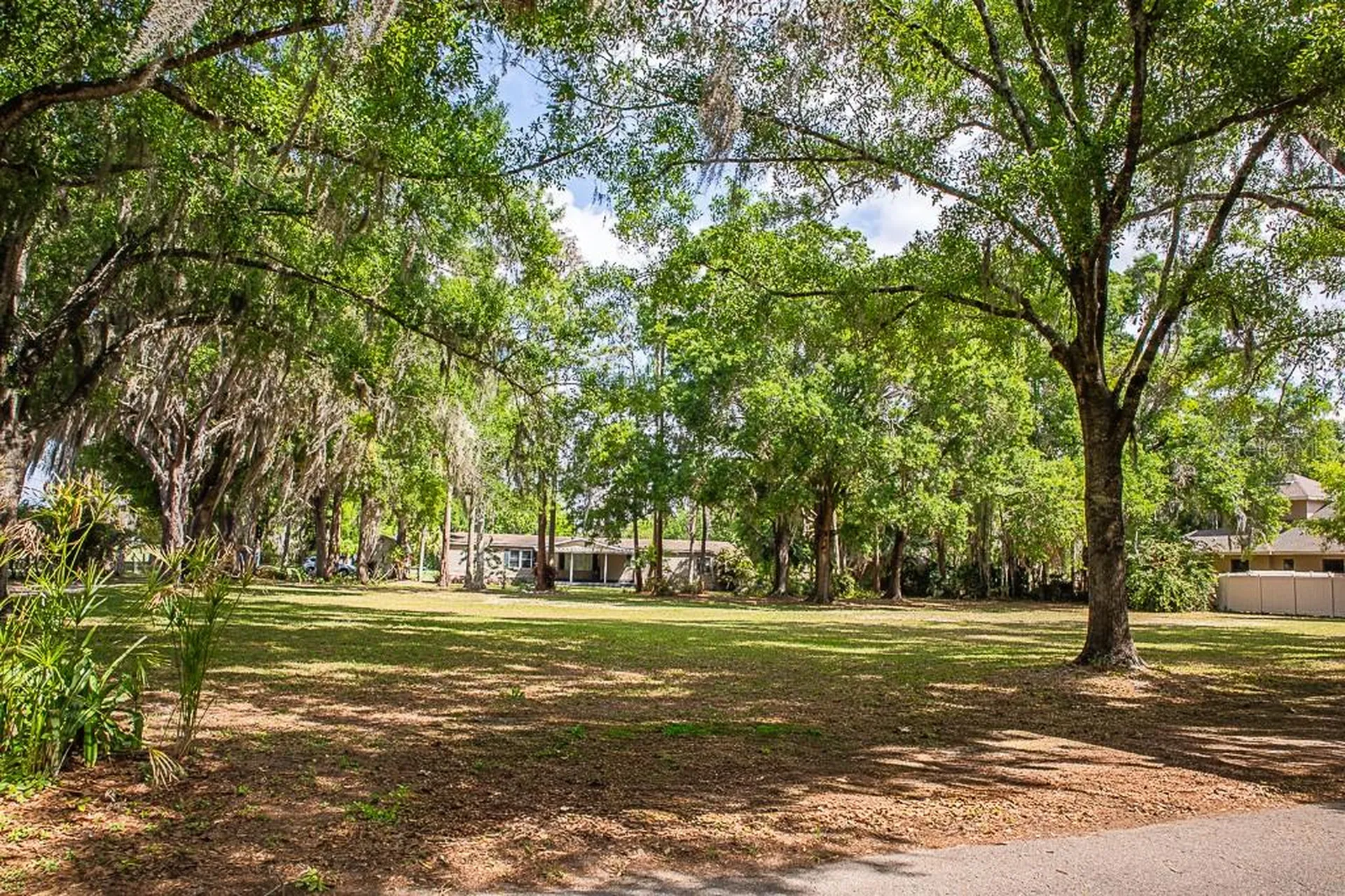 13815 Plainview Road Odessa FL 33556
