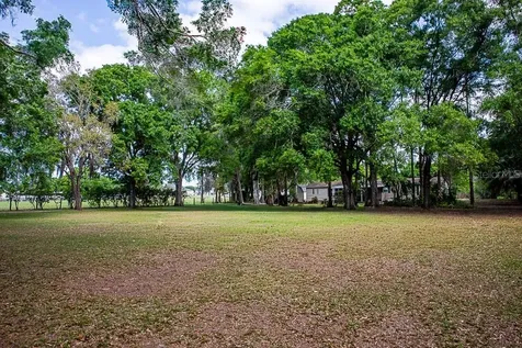 13815 Plainview Road Odessa FL 33556