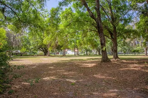 13815 Plainview Road Odessa FL 33556