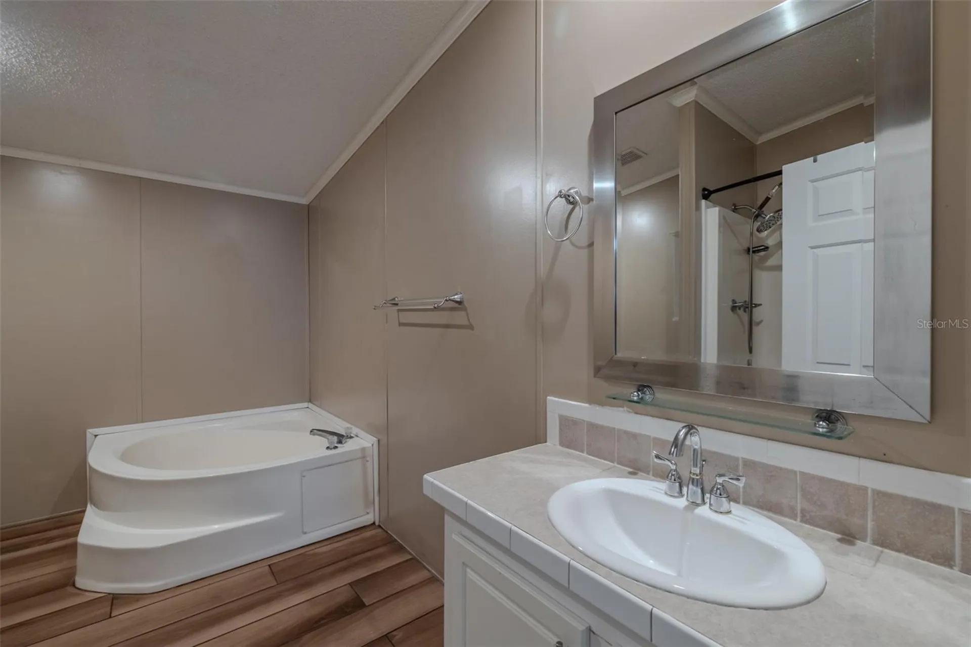 8471 Fantasia Park Way Riverview FL 33578