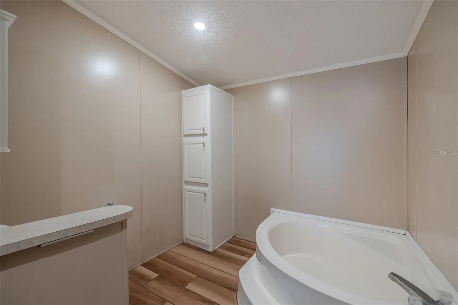 8471 Fantasia Park Way Riverview FL 33578