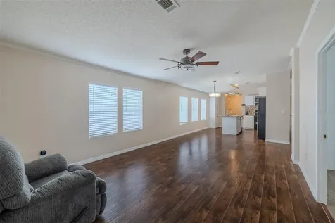 8471 Fantasia Park Way Riverview FL 33578