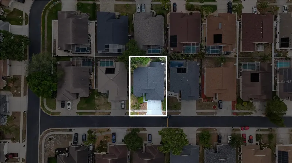 1769 Wood Bend Street Tarpon Springs FL 34689