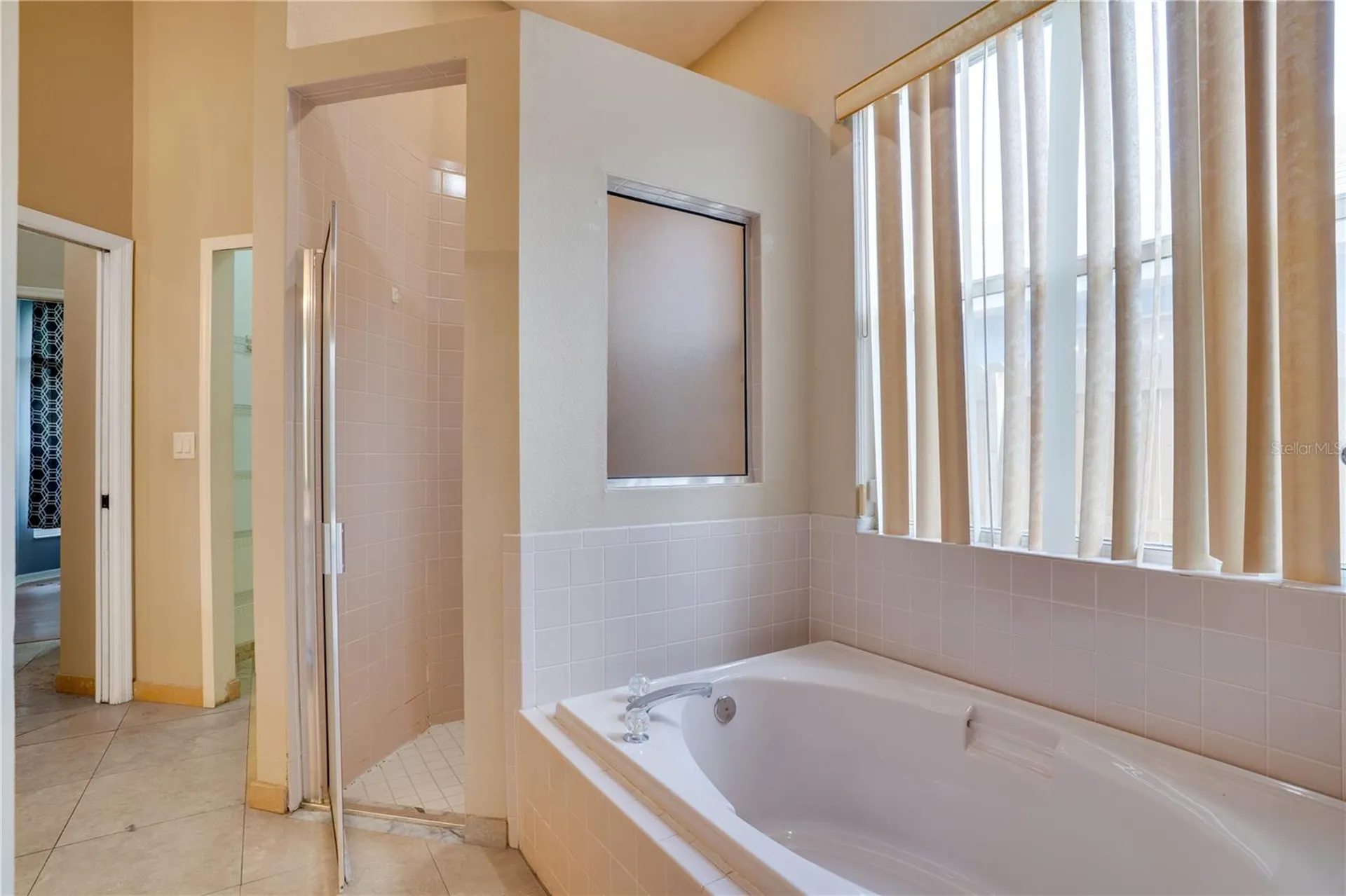 1769 Wood Bend Street Tarpon Springs FL 34689