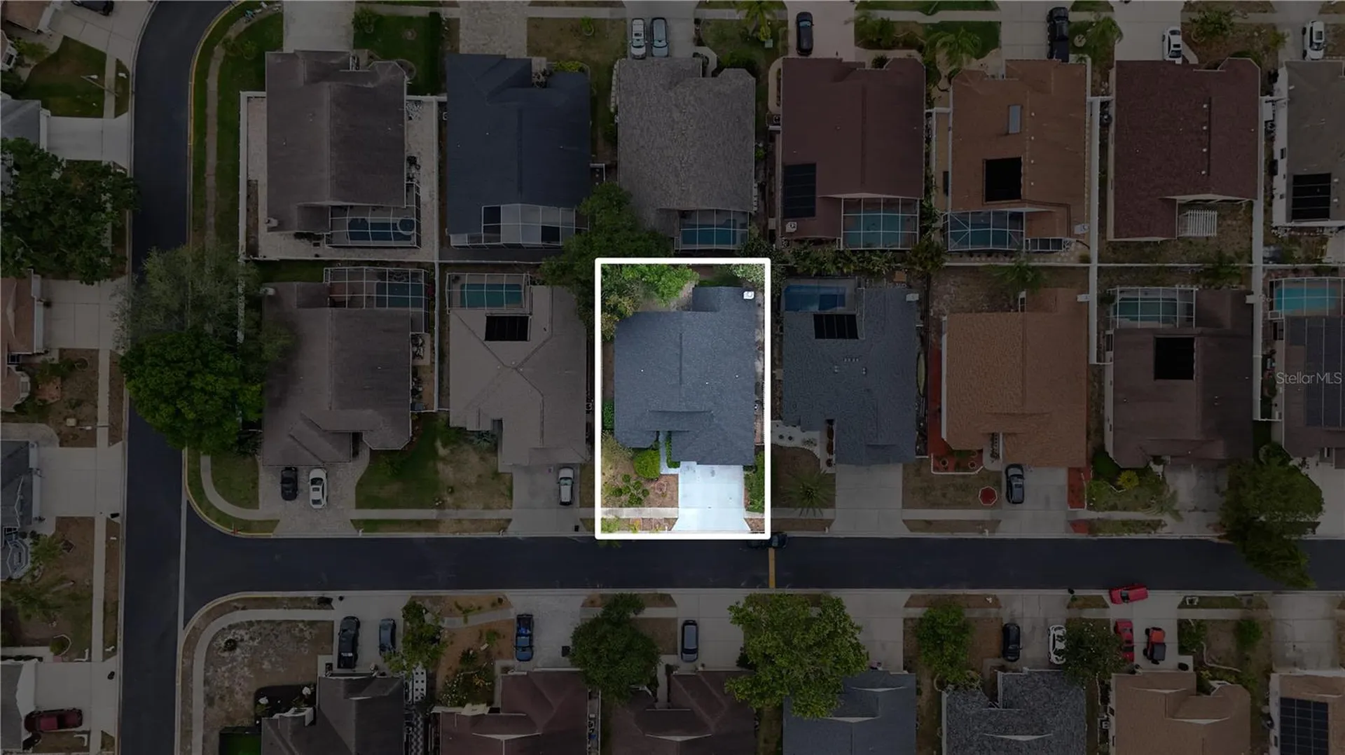1769 Wood Bend Street Tarpon Springs FL 34689