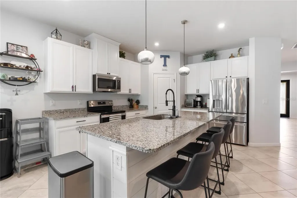 18379 Falling Pine Needle Lane Land O Lakes FL 34638