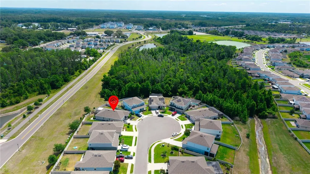 18379 Falling Pine Needle Lane Land O Lakes FL 34638