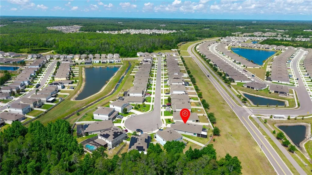 18379 Falling Pine Needle Lane Land O Lakes FL 34638