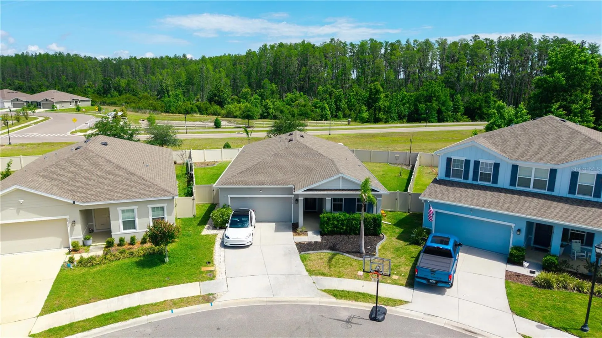 18379 Falling Pine Needle Lane Land O Lakes FL 34638