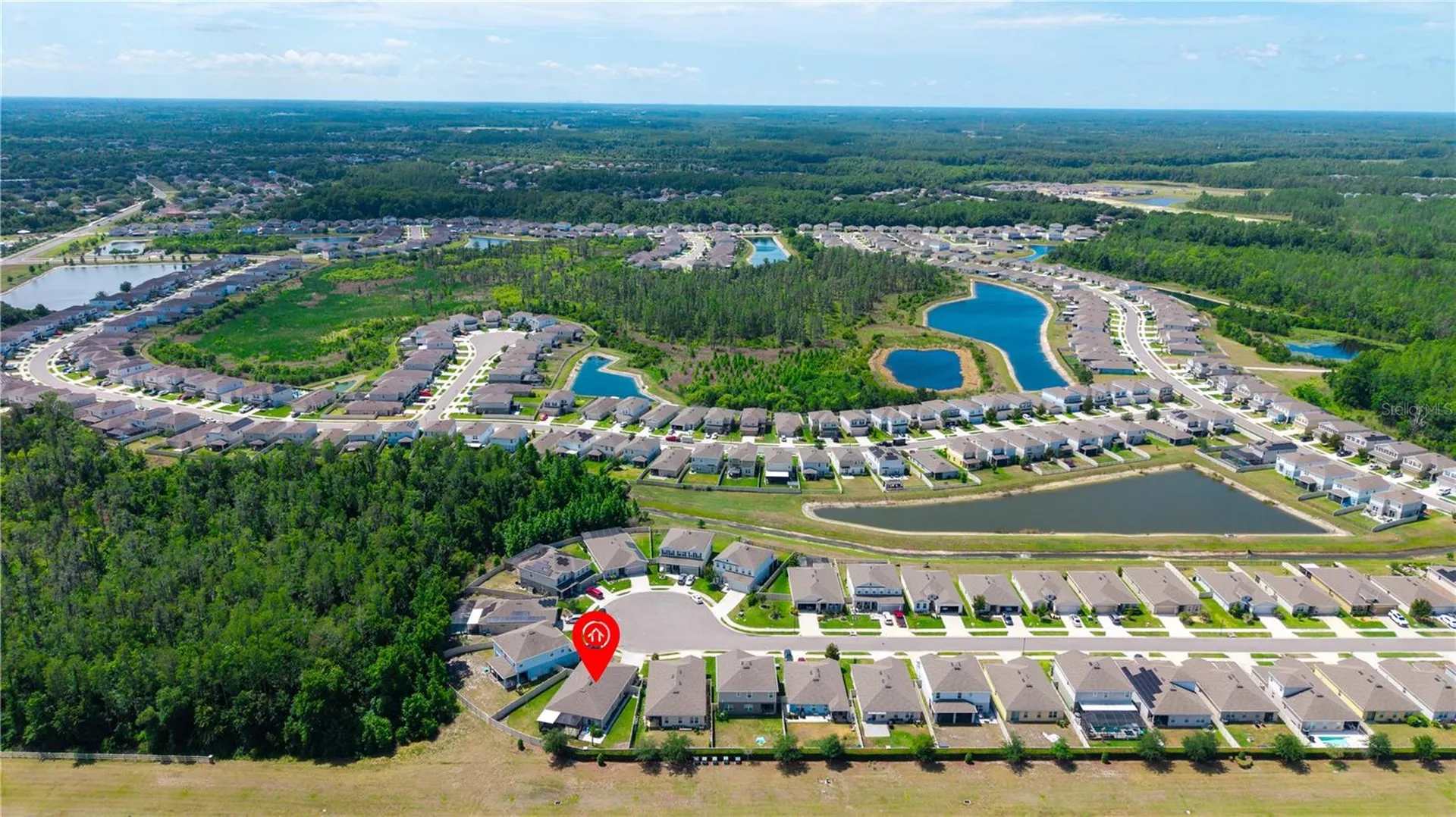 18379 Falling Pine Needle Lane Land O Lakes FL 34638