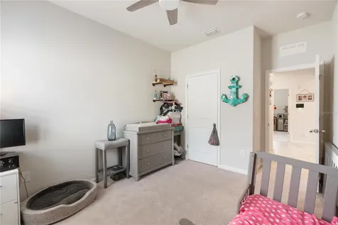 18379 Falling Pine Needle Lane Land O Lakes FL 34638