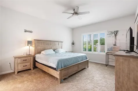 18379 Falling Pine Needle Lane Land O Lakes FL 34638