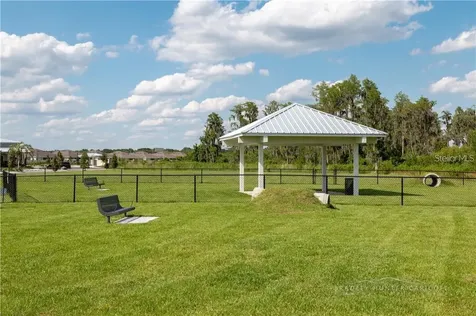 18379 Falling Pine Needle Lane Land O Lakes FL 34638