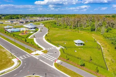 18379 Falling Pine Needle Lane Land O Lakes FL 34638