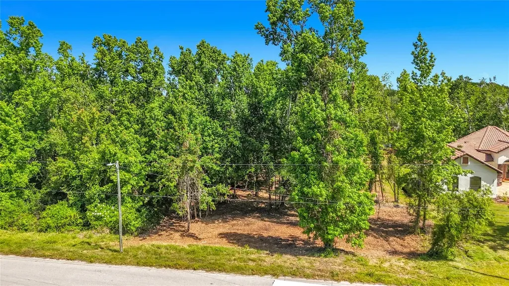 Lot 19 Lake Hills Drive Riverview FL 33569